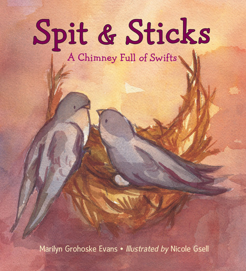 Spit & Sticks (A Chimney Full of Swifts) by Marilyn Grohoske Evans, Nicole Gsell, 9781580895880