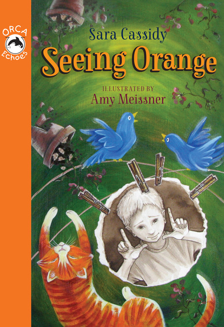 Seeing Orange by Sara Cassidy, Amy Meissner, 9781554699919