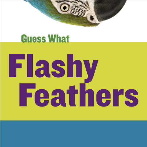 Flashy Feathers (Macaw) - 9781633627161 by Kelly Calhoun, Timothy Cap, 9781633627161