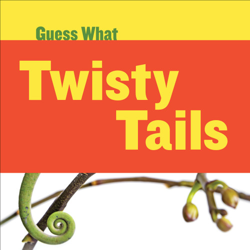 Twisty Tails (Chameleon) - 9781633627185 by Kelly Calhoun, Timothy Cap, 9781633627185