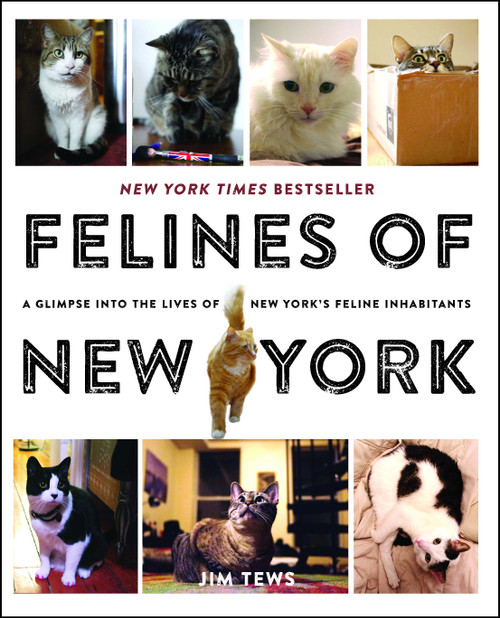 Felines of New York (A Glimpse Into the Lives of New York's Feline Inhabitants) by Jim Tews, 9781501125836