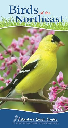 Birds of the Northeast (Your Way to Easily Identify Backyard Birds) by Stan Tekiela, 9781591934073