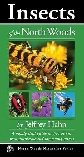 Insects of the North Woods by Jeffrey Hahn, 9780979200649