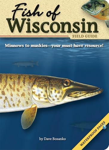 Fish of Wisconsin Field Guide (Miniature Edition) by Dave Bosanko, 9781591931942