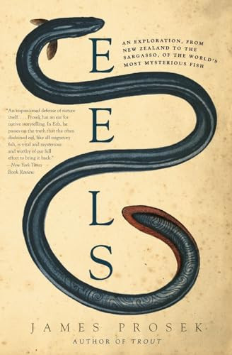 Eels (An Exploration, from New Zealand to the Sargasso, of the World's Most Mysterious Fish) by James Prosek, 9780060566128