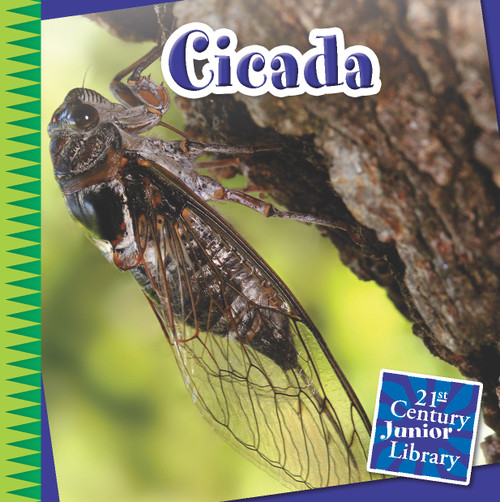 Cicada by Mike Shoulders, 9781633625891