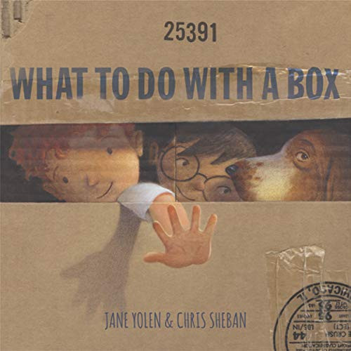 What To Do With a Box by Jane Yolen, Chris Sheban, 9781568462899