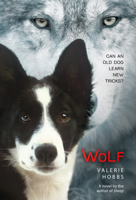 Wolf - 9781250073341 by Valerie Hobbs, 9781250073341
