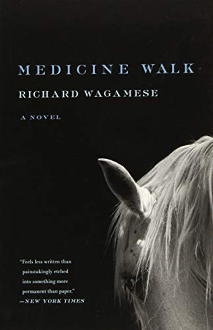 Medicine Walk - 9781571311160 by Richard Wagamese