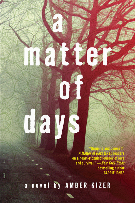 A Matter of Days by Amber Kizer, 9780385739740