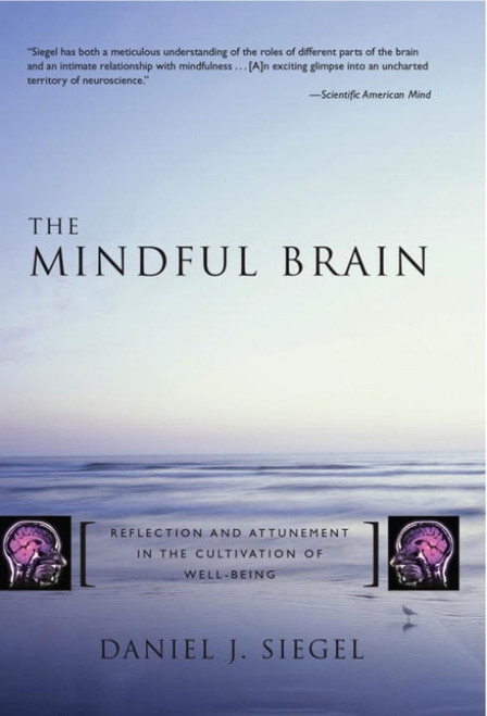 The Mindful Brain (Reflection and Attunement in the Cultivation of Well-Being) by Daniel J. Siegel, 9780393704709