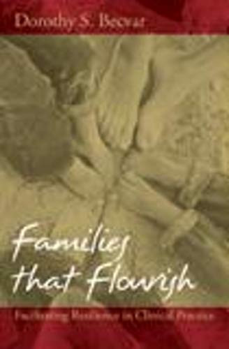 Families that Flourish (Facilitating Resilience in Clinical Practice), 9780393704884