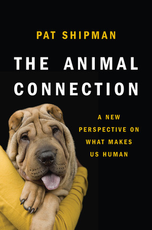 The Animal Connection (A New Perspective on What Makes Us Human) by Pat Shipman, 9780393070545