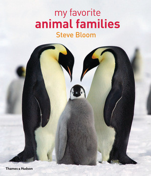 My Favorite Animal Families by Steve Bloom, David Henry Wilson, 9780500543900