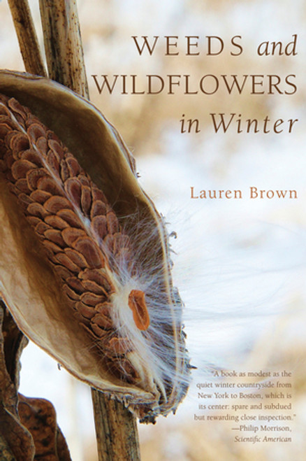 Weeds and Wildflowers in Winter by Lauren Brown, 9781581571776
