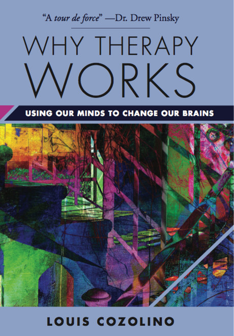 Why Therapy Works (Using Our Minds to Change Our Brains) by Louis Cozolino, 9780393709056