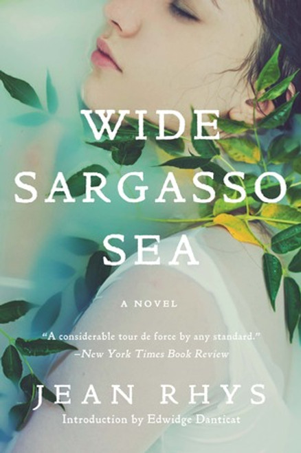 Wide Sargasso Sea by Jean Rhys, Edwidge Danticat, 9780393352566