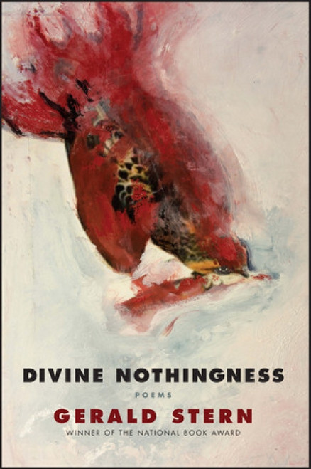 Divine Nothingness (Poems) - 9780393352863 by Gerald Stern