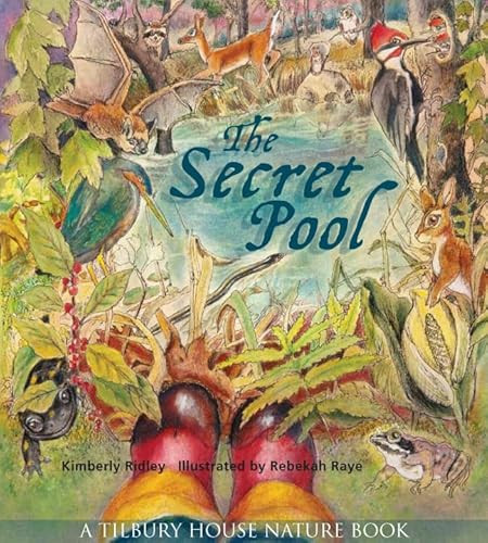 The Secret Pool by Kimberly Ridley, Rebekah Raye, 9780884483397