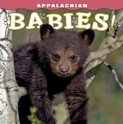 Appalachian Babies! by Will Harmon, 9781560376132