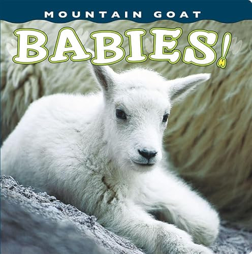 Mountain Goat Babies!, 9781560375449