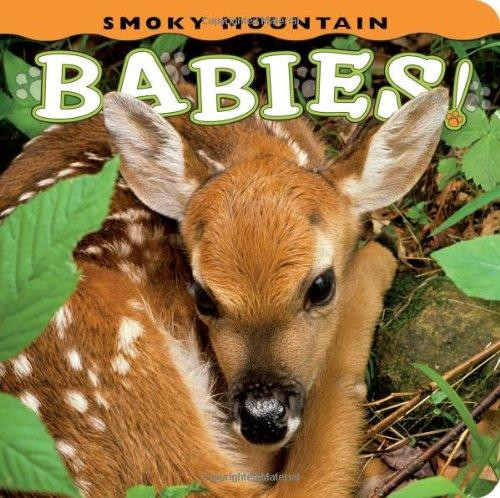 Smoky Mountain Babies! by Ann Simpson, 9781560375067