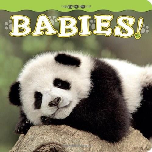Zoo Babies!, 9781560375050