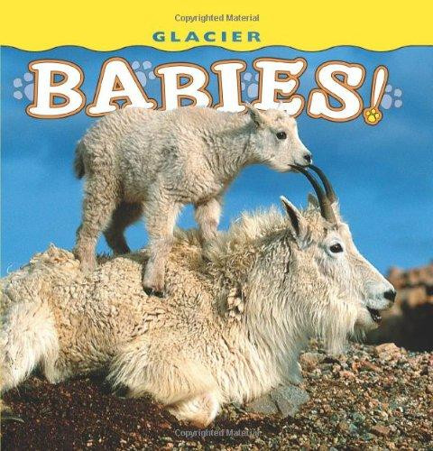 Glacier Babies! by Wendy Shattil, 9781560374985