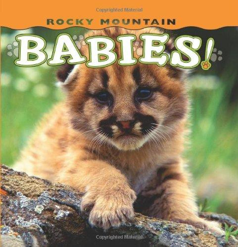 Rocky Mountain Babies! by Wendy Shattil, 9781560374992