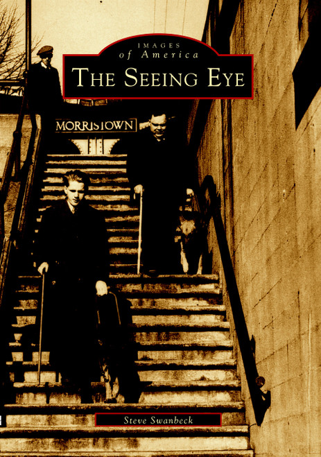 The Seeing Eye by Steve Swanbeck, 9780738510125
