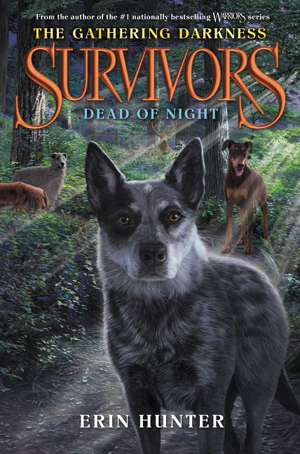 Survivors: The Gathering Darkness #2: Dead of Night by Erin Hunter, Laszlo Kubinyi, Julia Green, 9780062343376