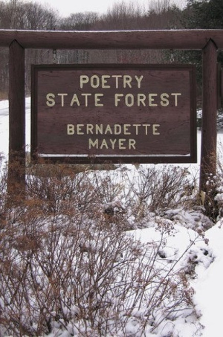 Poetry State Forest by Bernadette Mayer, 9780811217231