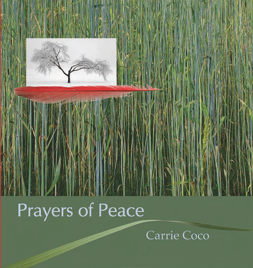 Prayers of Peace by Carrie Coco, 9781571781826