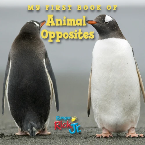 My First Book of Animal Opposites (National Wildlife Federation) by National Wildlife Federation, 9781623540623