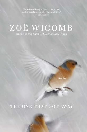 The One That Got Away (Short Stories) by Zoe Wicomb, 9781595584571