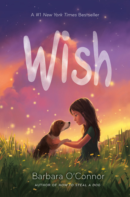 Wish - 9780374302733 by Barbara O'Connor, 9780374302733