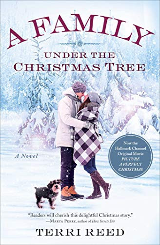 A Family Under the Christmas Tree (A Novel) by Terri Reed, 9781501144745
