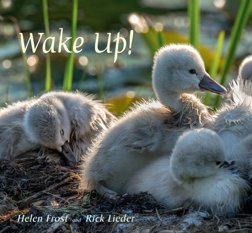 Wake Up! by Helen Frost, Rick Lieder, 9780763681494