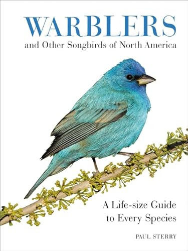 Warblers and Other Songbirds of North America (A Life-size Guide to Every Species) by Paul Sterry, 9780062446817