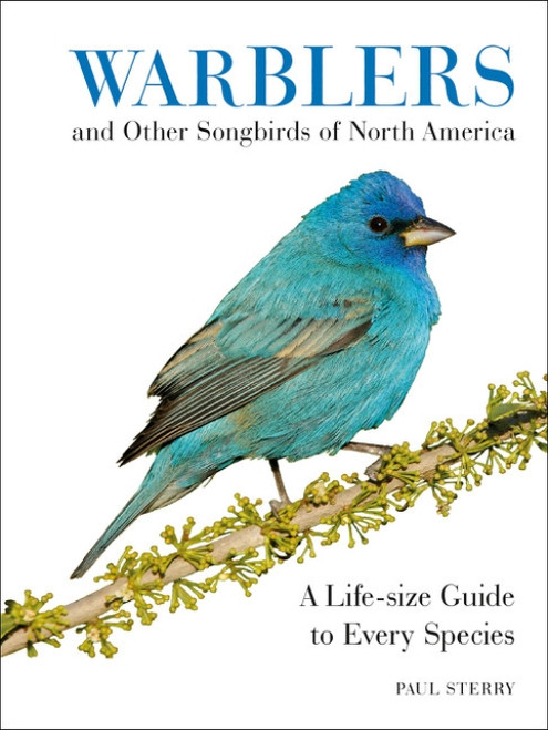 Warblers and Other Songbirds of North America (A Life-size Guide to Every Species) by Paul Sterry, 9780062446817