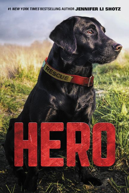 Hero - 9780062560391 by Jennifer Li Shotz, 9780062560391