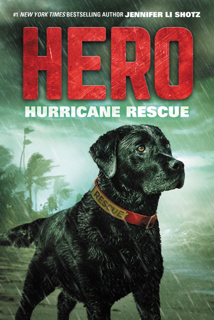 Hero: Hurricane Rescue - 9780062560438 by Jennifer Li Shotz, 9780062560438