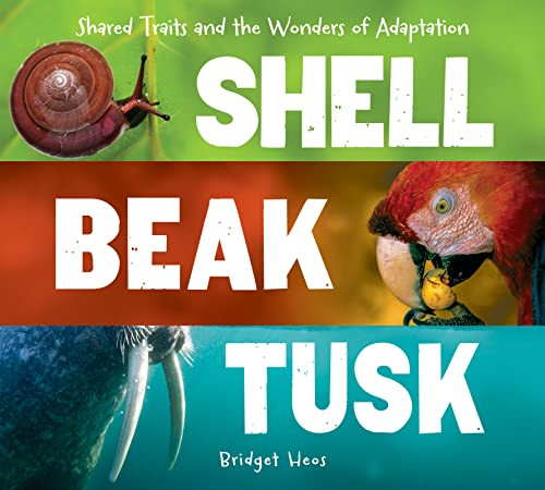 Shell, Beak, Tusk (Shared Traits and the Wonders of Adaptation) by Bridget Heos, 9780544811669