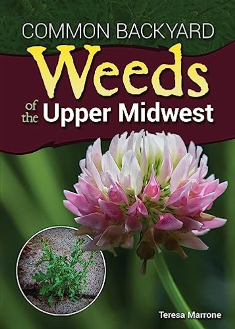 Common Backyard Weeds of the Upper Midwest by Teresa Marrone, 9781591937326
