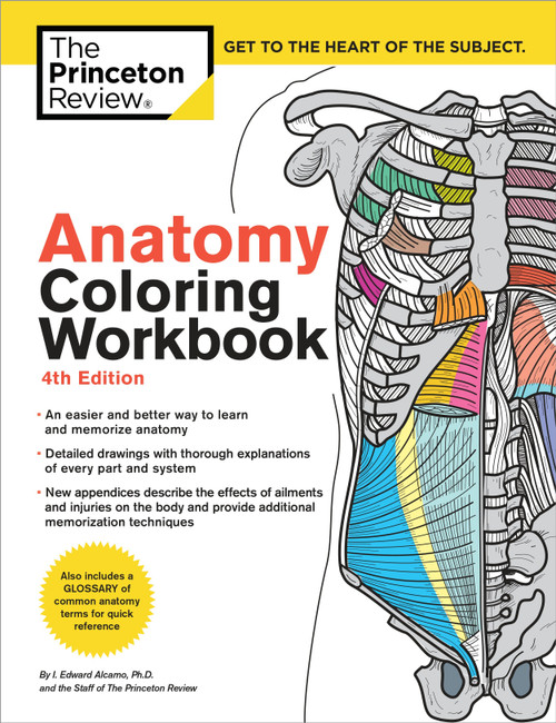Anatomy Coloring Workbook, 4th Edition (An Easier and Better Way to Learn Anatomy) by The Princeton Review, Edward Alcamo, 9780451487872