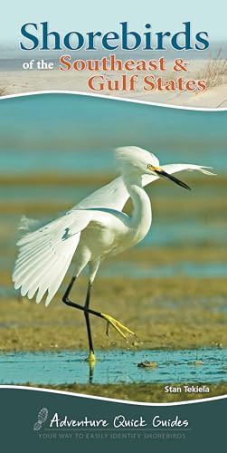 Shorebirds of the Southeast & Gulf States (Your Way to Easily Identify Shorebirds) by Stan Tekiela, 9781591936565