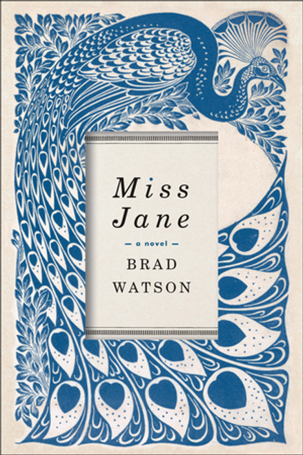 Miss Jane (A Novel) - 9780393354386 by Brad Watson, 9780393354386