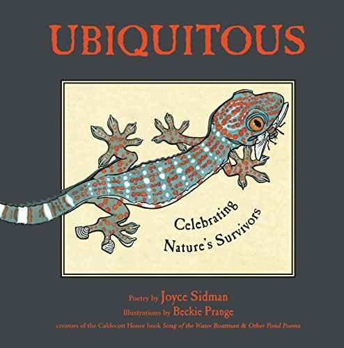 Ubiquitous (Celebrating Nature's Survivors) by Joyce Sidman, Beckie Prange, 9780618717194