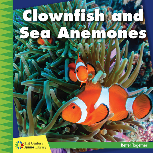Clownfish and Sea Anemones by Kevin Cunningham, 9781634710855