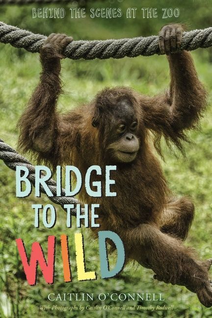 Bridge to the Wild (Behind the Scenes at the Zoo) by Caitlin O'Connell, 9780544277397